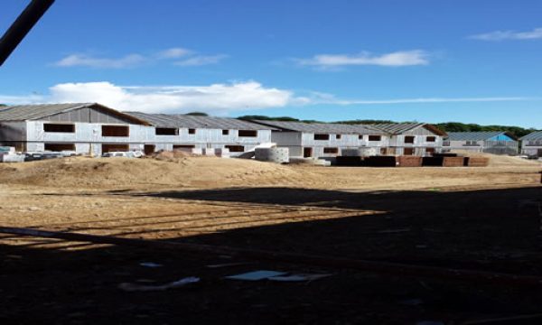 2013-07-30-11.09.18.jpg